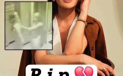 😰💔 Addio alla stella di Forbidden Fruit, il video choc mentr…Altro…