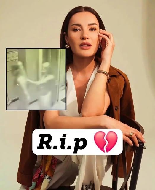 😰💔 Addio alla stella di Forbidden Fruit, il video choc mentr…Altro…